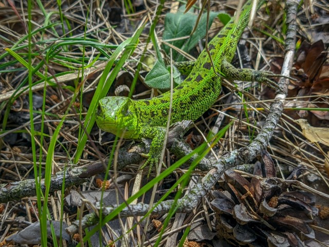 Что в головах у людей?