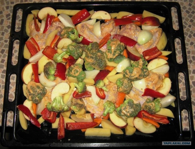 Ноги, хвосты… главное – крылья!, Кура-International–2, куриные крылья