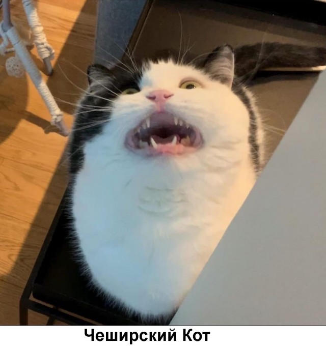 Так себе картинки 18.07.21