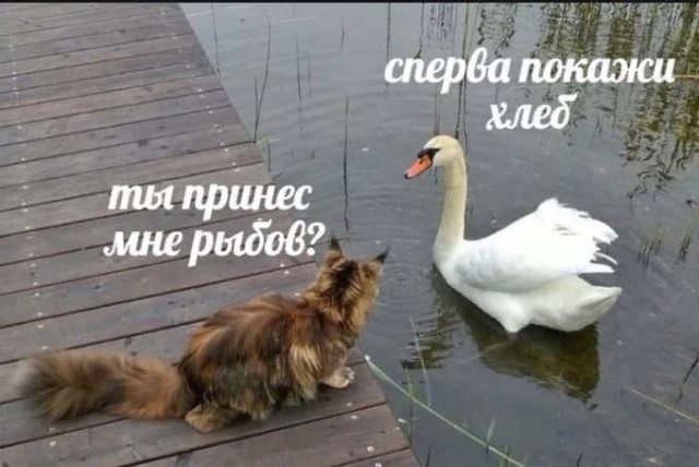 Не падайте духом