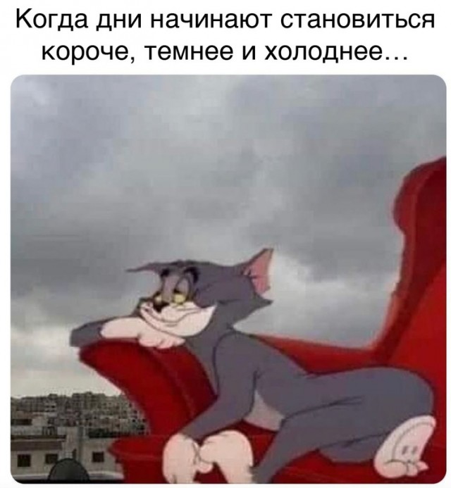 Картинки и мемы, всем прекрасных выходных