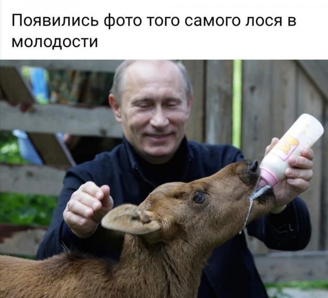 Помянем, 9 дней всё таки...