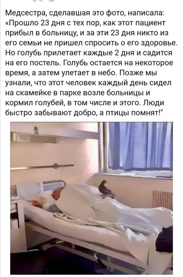 Всяческие картинки 24.11.2021
