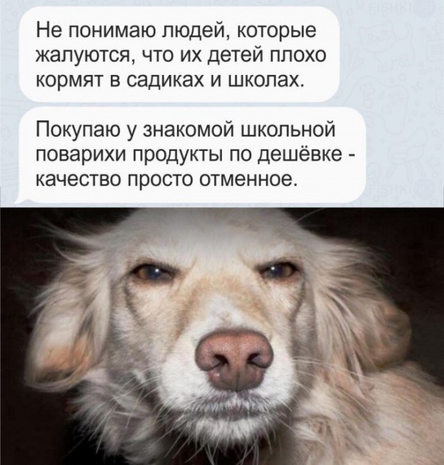 Наивная простота: улыбательная тема о детском саде