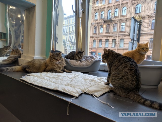В Питер на 2 дня