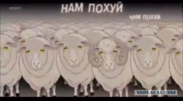 Трезвый взгляд