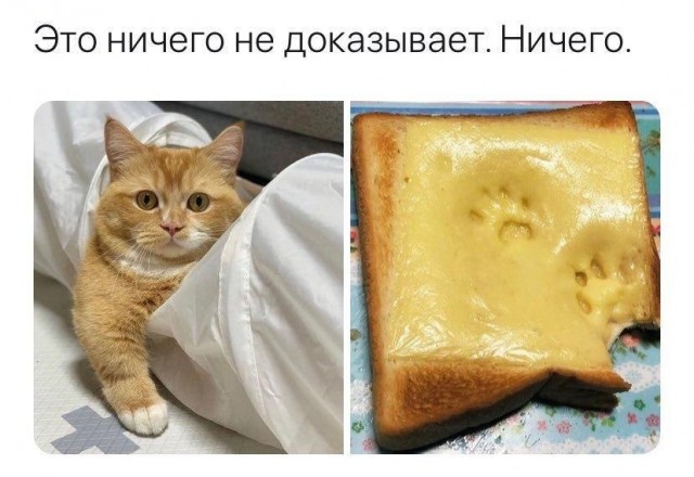 Задержан по горячим следам