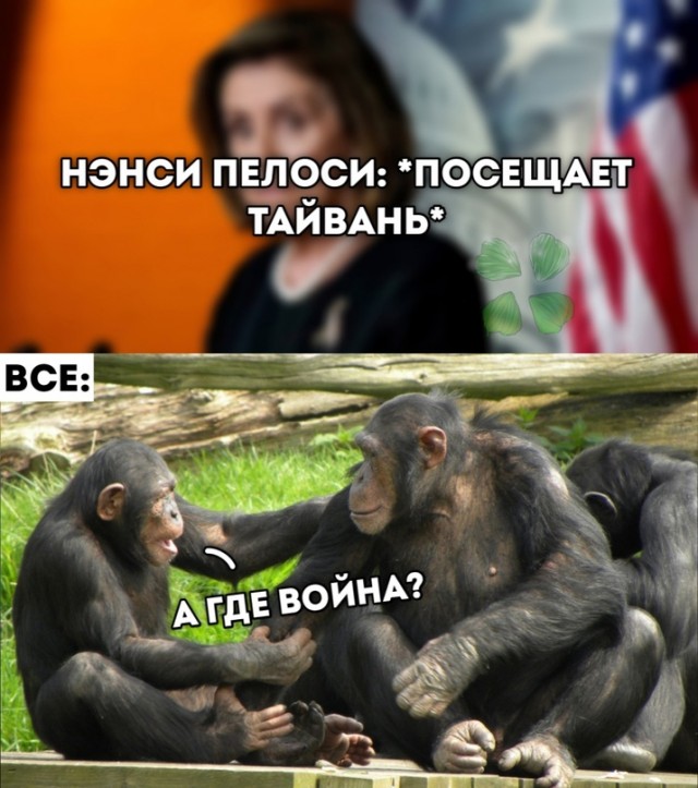 Картинки и мемы. Выходные близко, близко...