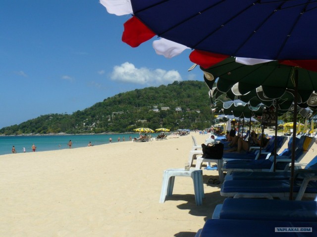 Немного Тая