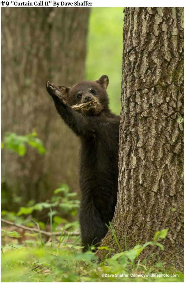 Свекровь подговаривает мужа сделать тест ДНК нашему сыну. Боюсь результата, так как есть грешок
