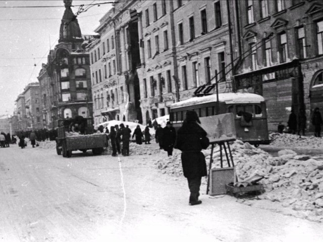 Спасти Ленинград от эпидемии. История блокадного витаминного коктейля