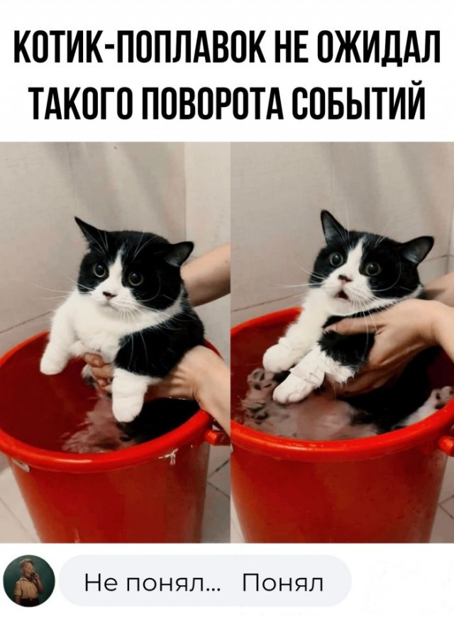 Немного картинок для настроения - 127