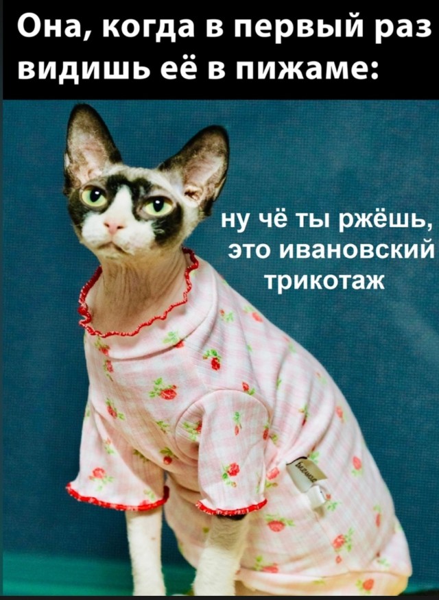 Почему женщины влюбляются в плохих парней, а выбирают хороших: ученые дали ответ