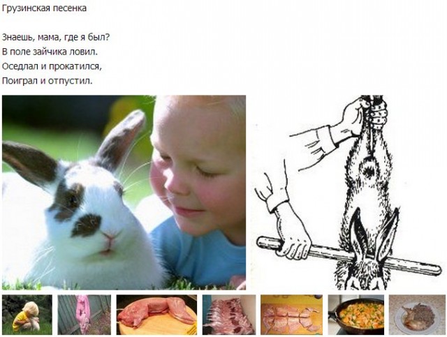 Животные добрые, они помогают друг другу