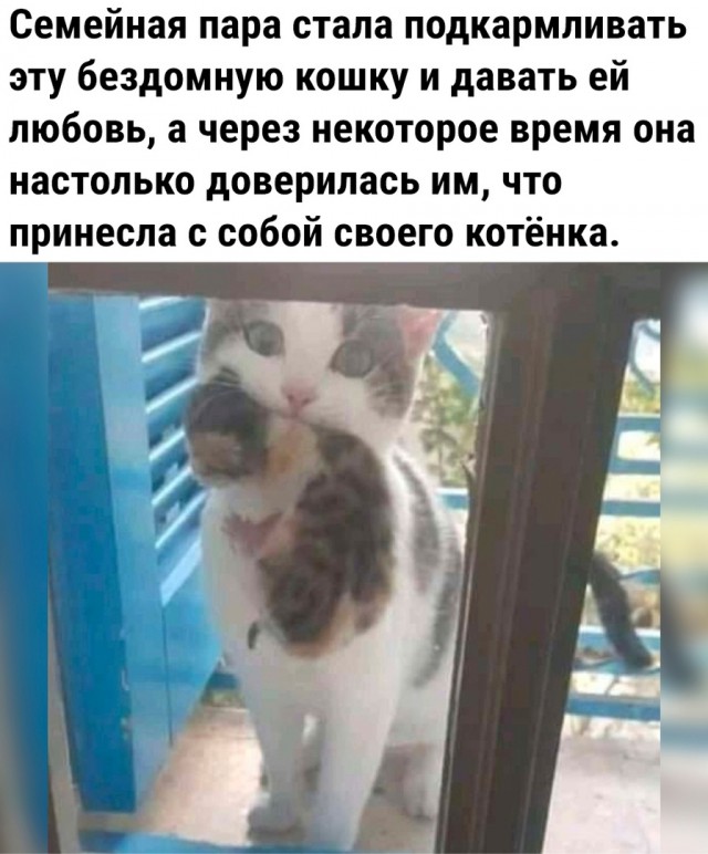 Так себе картинки 29.05.23