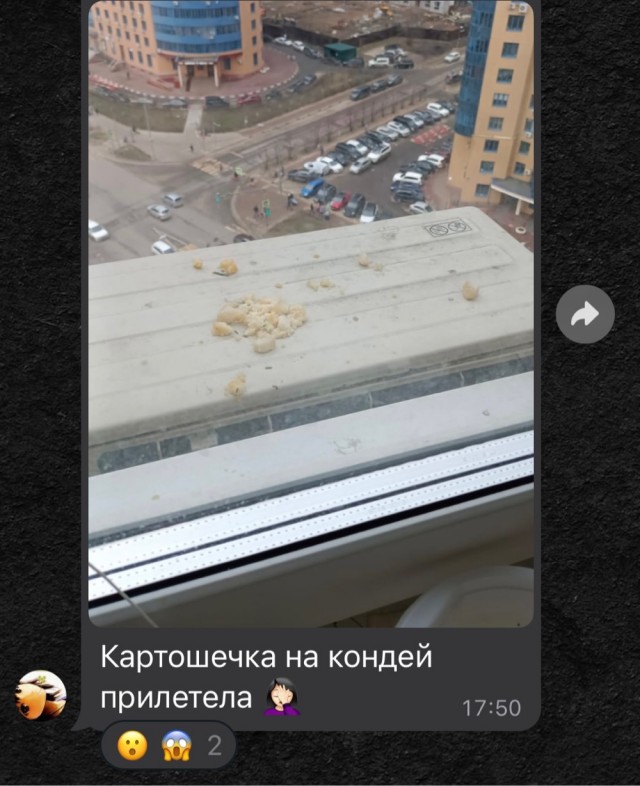 Не ту траекторию выбрал