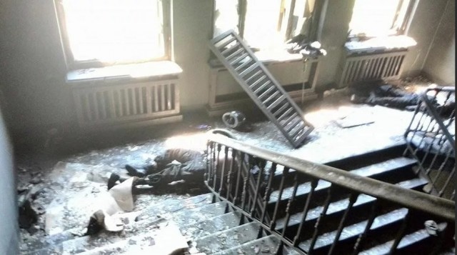 В Григоровке Одесской области спасли собаку, которая приплыла на досках