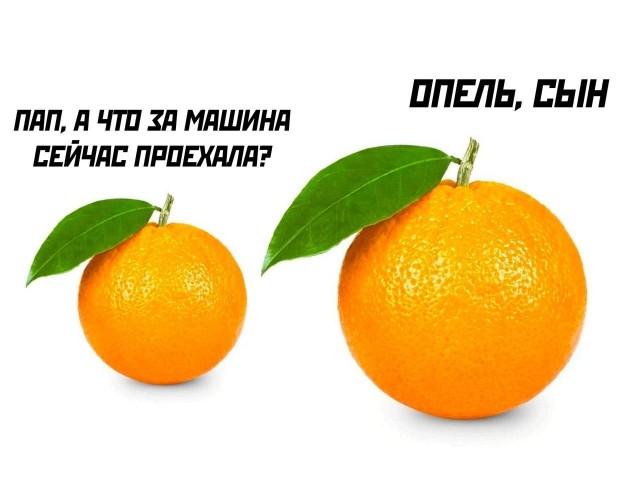 Весёлый полтишок 03.09.23