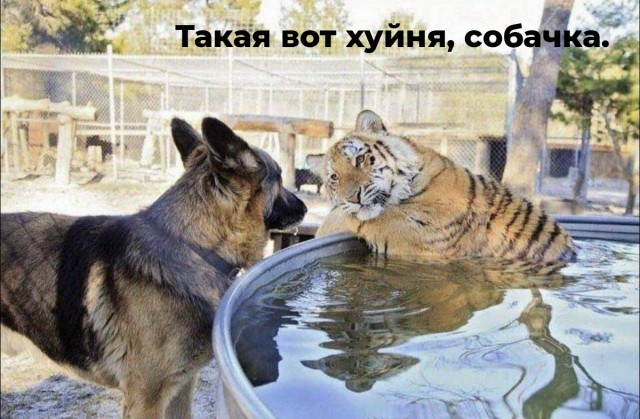Не могу уснуть. Хочу задать вопрос
