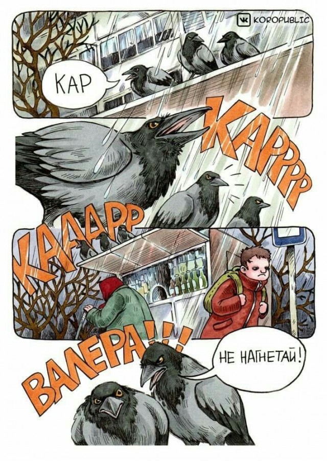 Аналитика от Маска⁠⁠