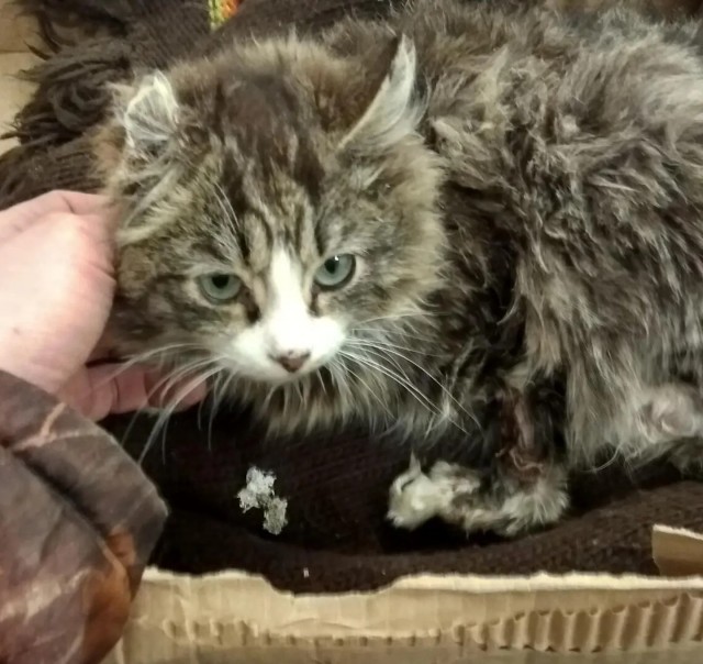 Как всё было