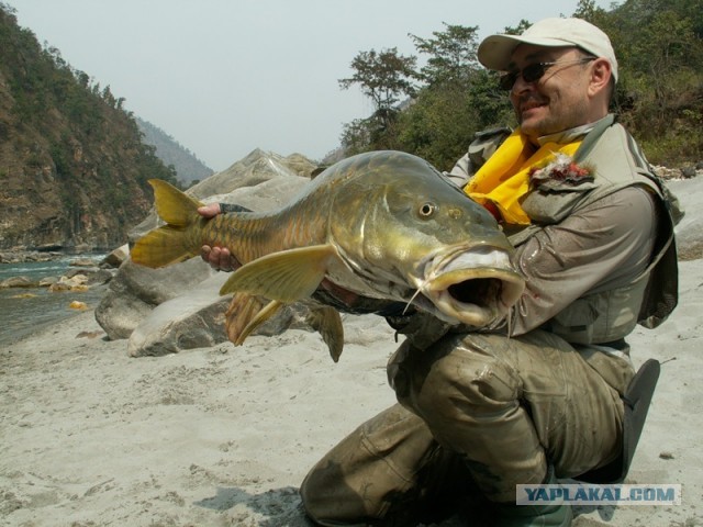 Им здесь зарабатывать, а нам здесь помирать.