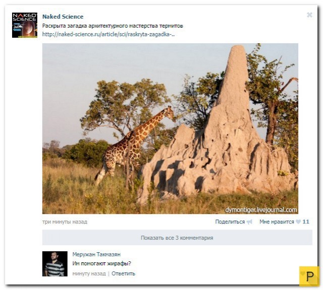 Какие-нибудь картинки