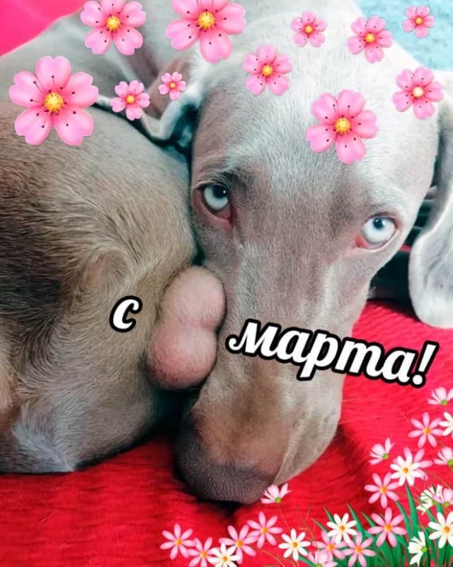 Открытки на 8-е марта