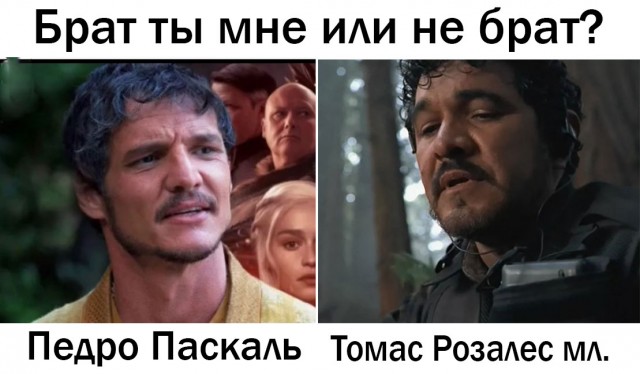 30 портретов людей, не связанных кровным родством, но очень похожих друг на друга