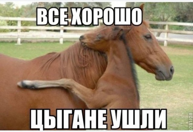 Табор уходит с приставами