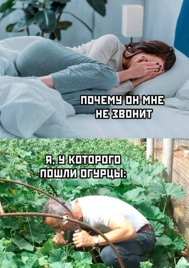 Всего понемногу. От 22.05.2024
