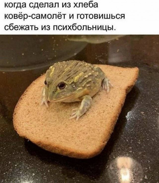 Юмор в картинках и без