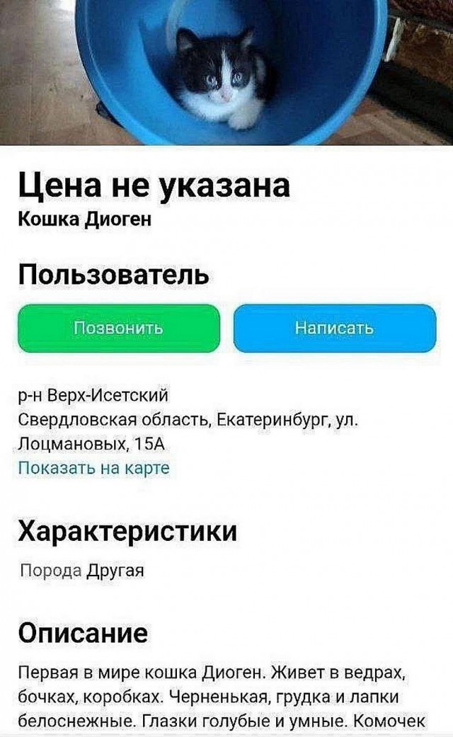 Весёлый полтишок 10.07.24