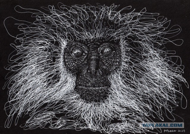 Белым по черному-2