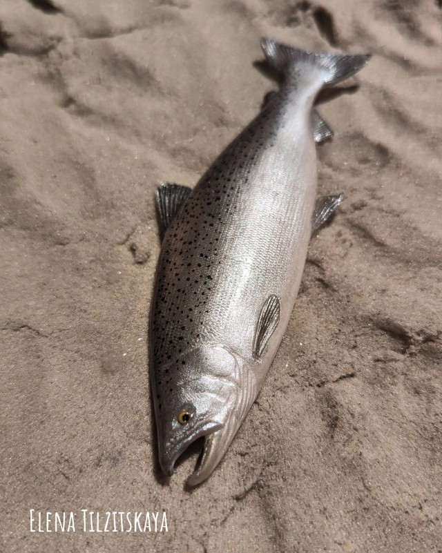 Рыбов показываю