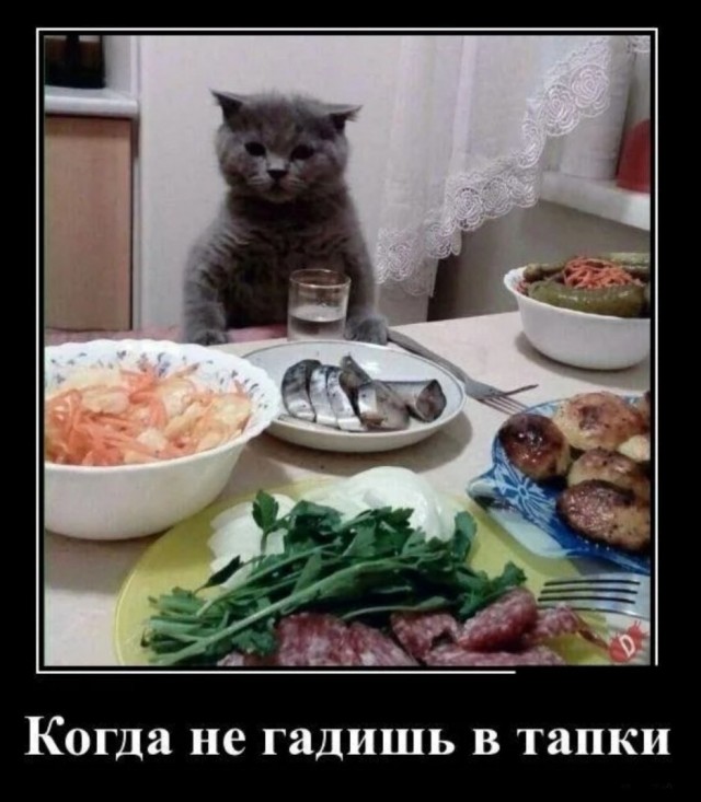 Посмеялся сам - поделись с другом!!!