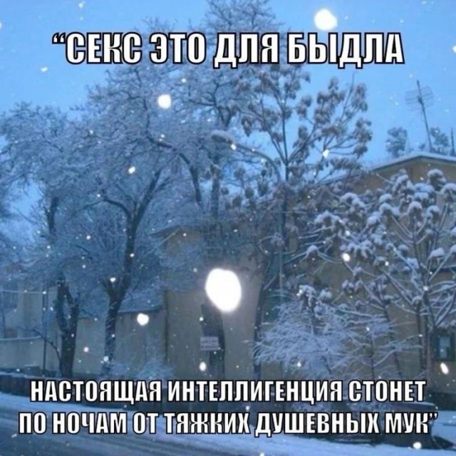 Так себе картинки 11.10.24