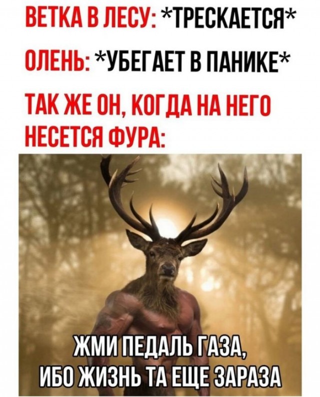 Веселые картинки в понедельник (20.01)