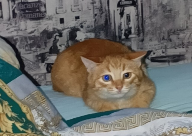 Ну а что? Мне понравилось...