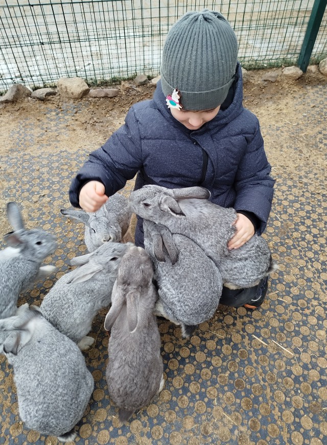 Нашел кого дразнить