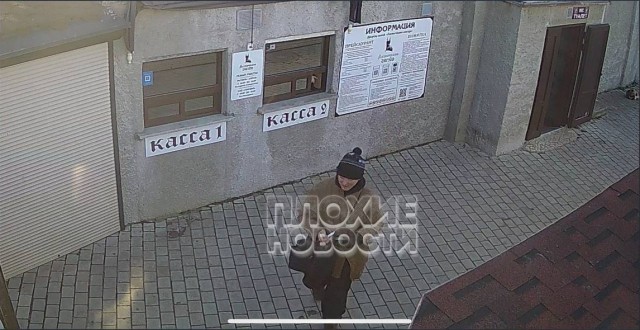 В Крыму мужчина сбросил кошку Мусю со смотровой площадки Ласточкиного Гнезда