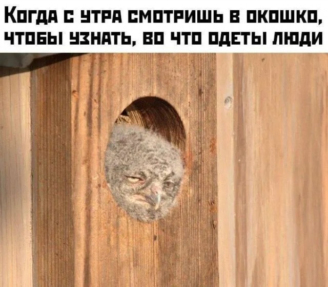 Завалялось тут случайно немного забавных картинок