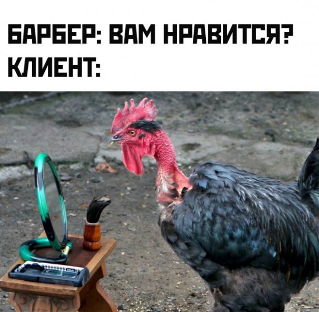 Мемы для хорошего настроения