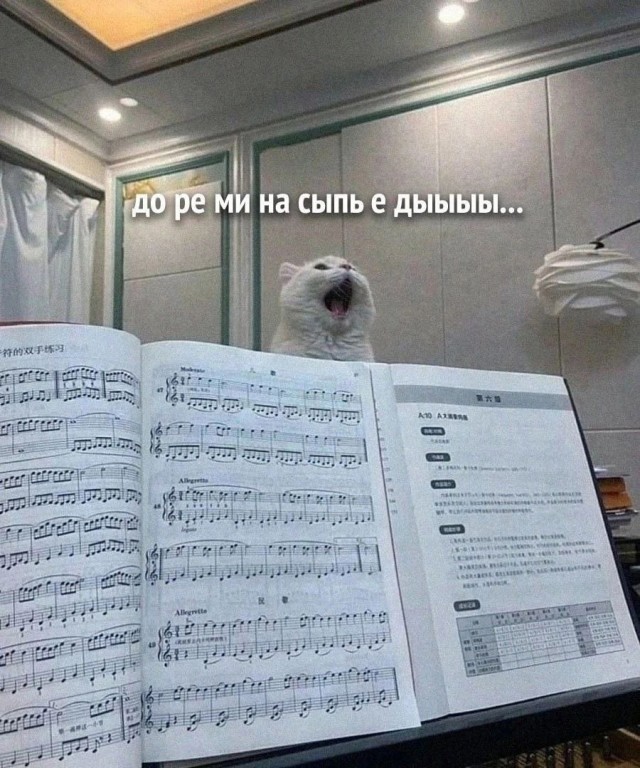 Так себе картинки 25.04.25
