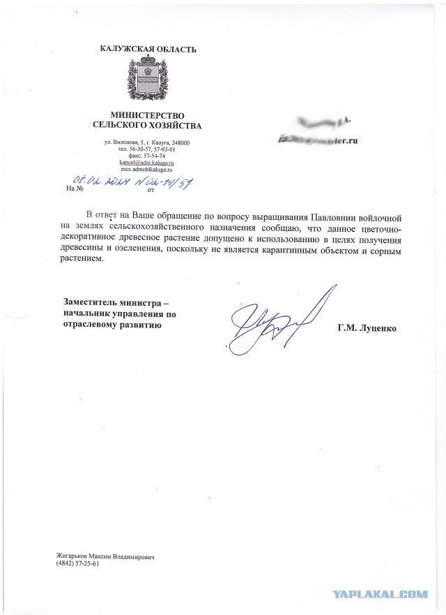 Путин поручил вывести в России ГМО-деревья