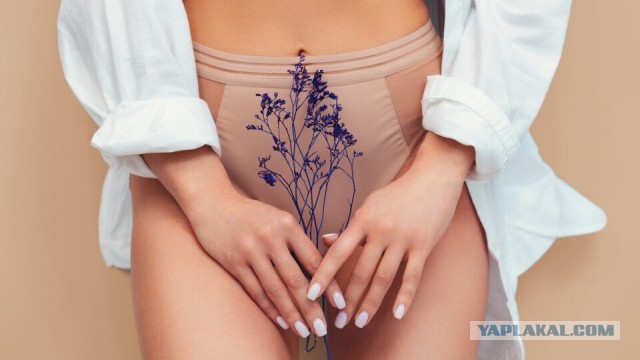 Бабёнку бы без сахара...