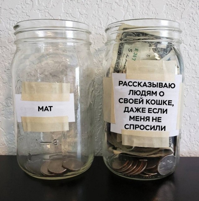 Так себе картинки 17.06.25