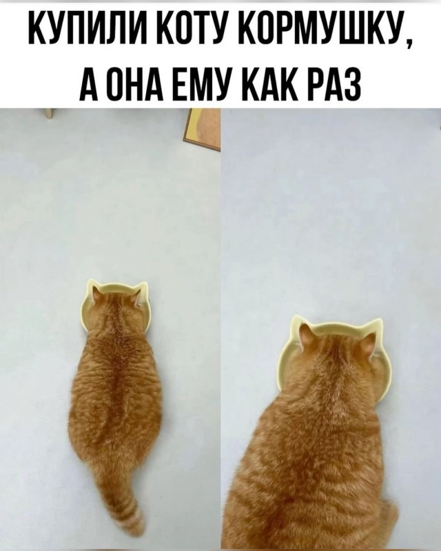 Завалялось тут случайно немного забавных картинок