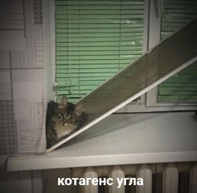 Завалялось тут случайно немного забавных картинок