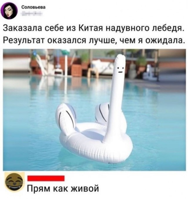 Так себе картинки 13.07.25